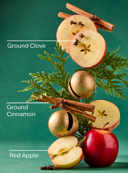 Tis the Season Car Fragrance Refill image number null