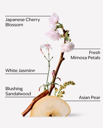 Japanese Cherry Blossom Holiday Gift Set Gift Set