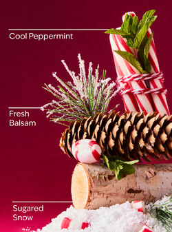 Twisted Peppermint Wallflowers Fragrance Refill image number null