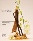 Warm Vanilla Sugar Holiday Gift Set image number null