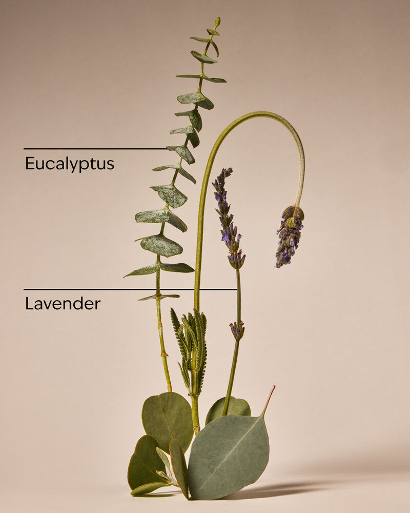 Eucalyptus Lavender Hand Cream Hand Cream