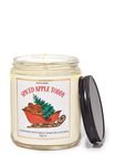 Spiced Apple Toddy Mason Single Wick Candle image number null