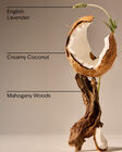 Mahogany Coconut Wallflowers Fragrance Refill image number null