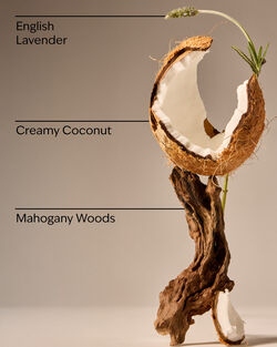 Mahogany Coconut Wallflowers Fragrance Refill image number null