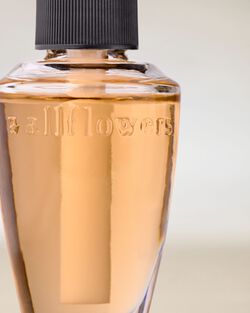 Fiji White Sands Wallflowers Fragrance Refill image number null