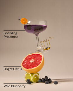 Blueberry Bellini Moisturizing PocketBac Hand Sanitizer image number null