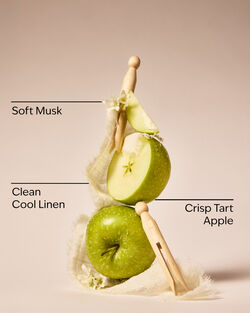 Sun-Drenched Linen Single Wick Candle image number null