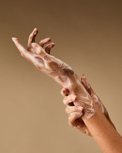 Sea & Sandstone Gentle & Clean Foaming Hand Soap image number null
