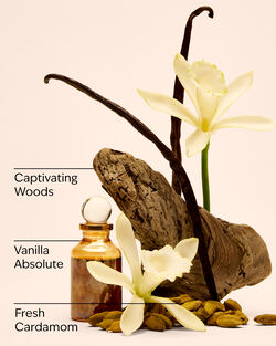 Vanilla Romance Ultimate Hydration Body Cream image number null