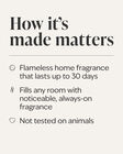 White Tea & Sage Wallflowers Fragrance Refill image number null
