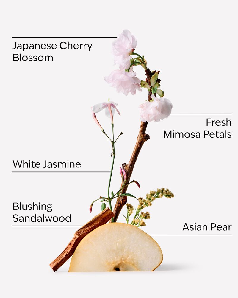 Japanese Cherry Blossom Cleansing Gel Hand Soap Cleansing Gel Hand Soap