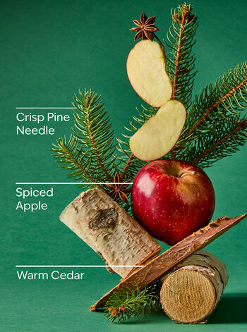Tree Farm Mason Single Wick Candle Mason Single Wick Candle