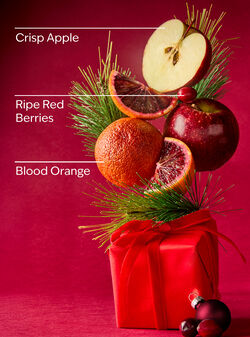 Bright Christmas Morning Mini Gift Box Set image number null