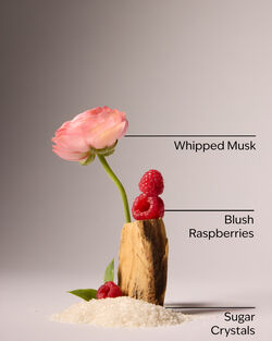 Sweetest Song Mini Perfume Spray image number null