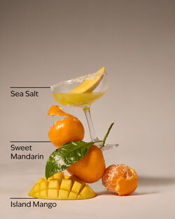 Island Margarita 3-Wick Candle image number null