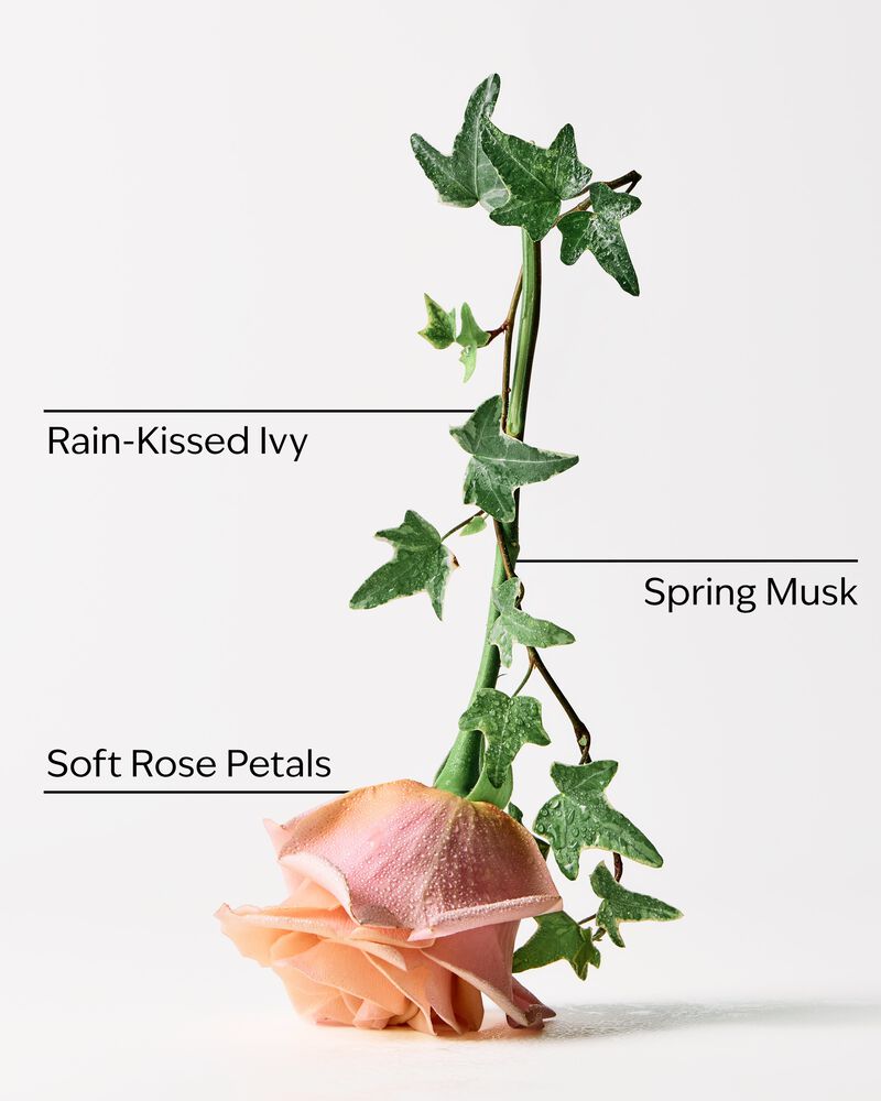 Rose Water & Ivy Cleansing Gel Hand Soap Cleansing Gel Hand Soap