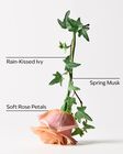 Rose Water & Ivy Cleansing Gel Hand Soap image number null