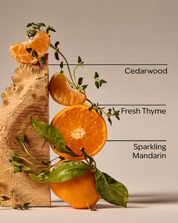 Kitchen Mandarin PocketBac Cleansing Hand Gel image number null