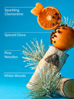 Winter Cleansing Gel Hand Soap image number null