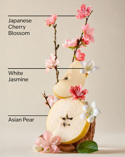 Japanese Cherry Blossom Mini Gift Box Set