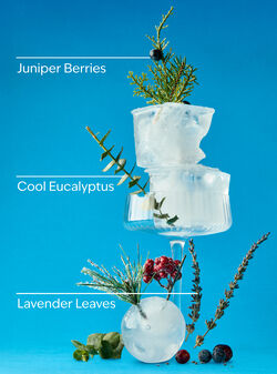 Frozen Lake 3-Wick Candle image number null