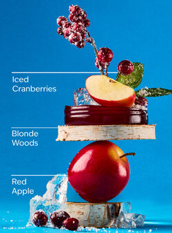Frosted Cranberry Car Fragrance Refill image number null