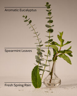 Eucalyptus Rain PocketBac Hand Sanitizer image number null