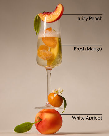 Peach Bellini 3-Wick Candle 3-Wick Candle