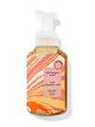 Champagne Toast & Iced Cinnamon Rolls Gentle Foaming Hand Soap image number null