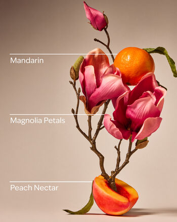 Pink Peach Blossom Signature Single Wick Candle Single Wick Candle