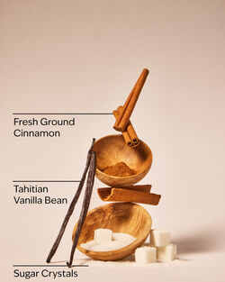 Cinnamon Spiced Vanilla Wallflowers Fragrance Refill image number null