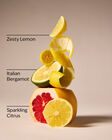 Kitchen Lemon Gentle & Clean Foaming Refill image number null