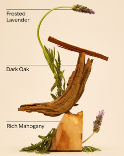 Mahogany Teakwood Car Fragrance Refill image number null