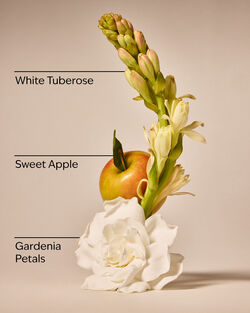 White Gardenia Wallflowers Fragrance Refill image number null