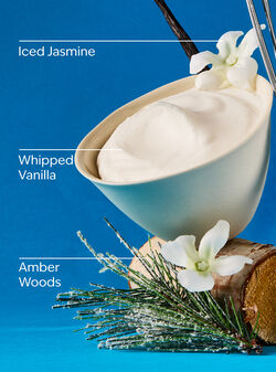 Vanilla Icicles Gentle & Clean Foaming Hand Soap image number null
