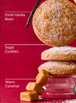 Vanilla Bean Noel Mini Gift Box Set image number null