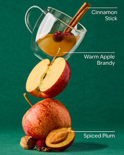 Spiced Apple Toddy Concentrated Room Spray image number null