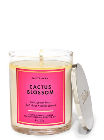 Cactus Blossom Signature Single Wick Candle Single Wick Candle