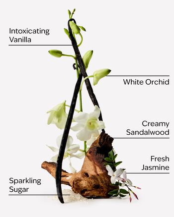 Warm Vanilla Sugar Travel Size Body Wash Travel Size Body Wash