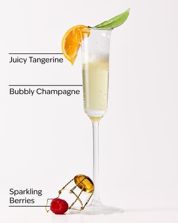 Champagne Toast Holiday Gift Set Gift Set