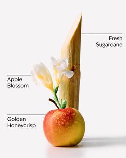 Honeycrisp Apple Wallflowers Fragrance Refill image number null