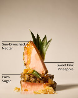 Costa Rica Pink Pineapple Sunrise Body Wash image number null
