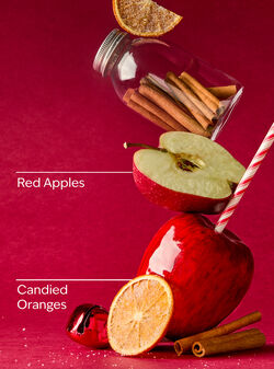 Winter Candy Apple Gift Bag Set image number null