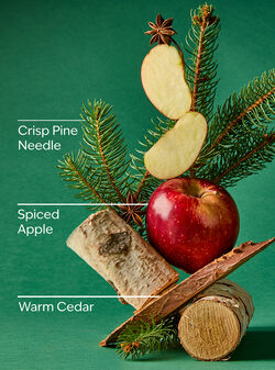 Tree Farm Wallflowers Fragrance Refill image number null