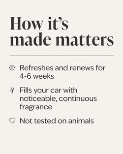 Frosted Cranberry Car Fragrance Refill image number null