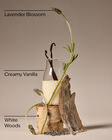Lavender Vanilla Single Wick Candle image number null