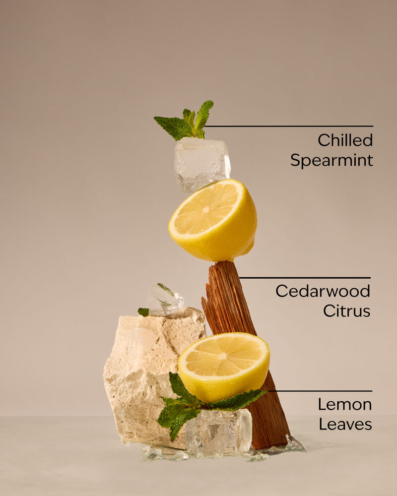 Fresh Amalfi Lemon 3-Wick Candle 3-Wick Candle