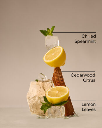 Fresh Amalfi Lemon 3-Wick Candle 3-Wick Candle