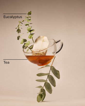 Eucalyptus Tea Mason Single Wick Candle Single Wick Candle