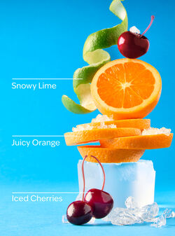 Winterberry Ice Wallflowers Fragrance Refill image number null